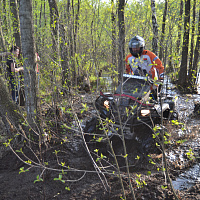 ДРЫГВА 2018
